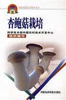 杏鲍菇栽培