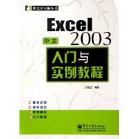 中文Excel 2003入门与实例教程