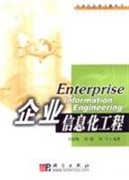 企业信息化工程