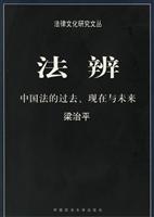 法辨:中国法的过去现在与未来
