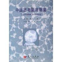 中国团毛菌目黏菌