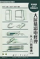 大屏幕彩电修理从入门到精通-(第2版)(含光盘)
