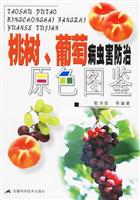 桃树、葡萄病虫害防治原色图谱
