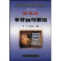 图表式审计技巧示范