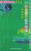 针灸腧穴彩色图谱
