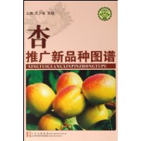 杏推广新品种图谱