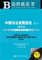 2010-中国法治发展报告