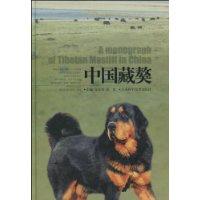 中国藏獒