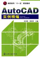 AutoCAD实例精编
