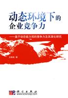 动态环境下的企业竞争力-基于动态能力观的竞争力及其演化研究