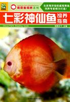 七彩神仙鱼饲养指南