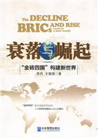 衰落与崛起-金砖四国构建新世界