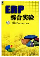 ERP综合实验-附1DVD