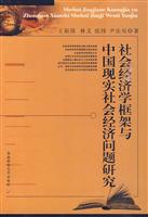 社会经济学框架与中国现实社会经济问题研究