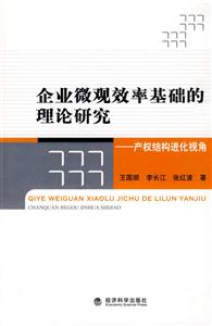 企业微观效率基础的理论研究