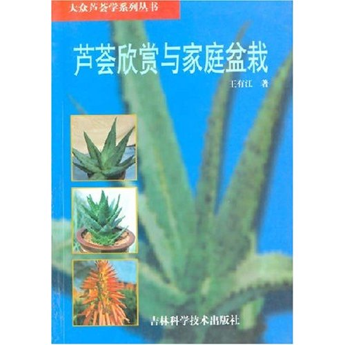 芦荟欣赏与家庭盆栽