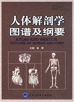 人体解剖学图谱及纲要