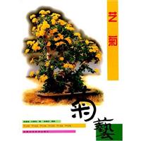 艺菊