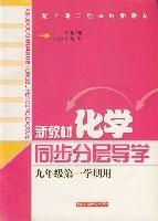新教材化学同步分层导学 九年级第一学期
