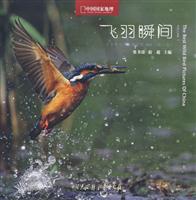 中国国家地理 飞羽瞬间 中国野生鸟类精彩图版选第一卷