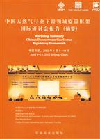 中国天然气行业下游领域监管框架国际研讨会报告(摘要)