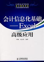 会计信息基础_Excel高级应用