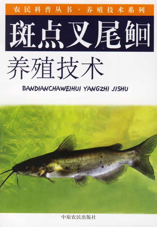 斑点叉尾鮰养殖技术