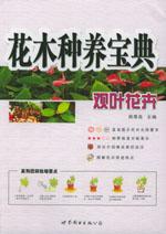 观叶花卉50种-种花手册