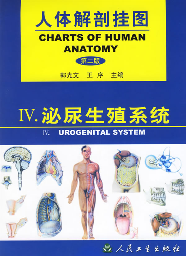人体解剖挂图 第二版 泌尿生殖系统