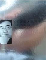 名家名品.陈逸飞