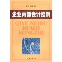 企业内部会计控制