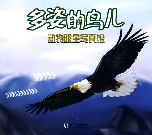 动物明星写真馆-多姿的鸟儿