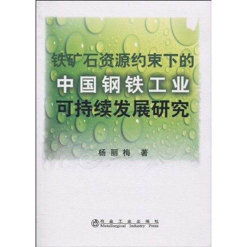 铁矿石资源约束下的中国钢铁工业可持续发展研究