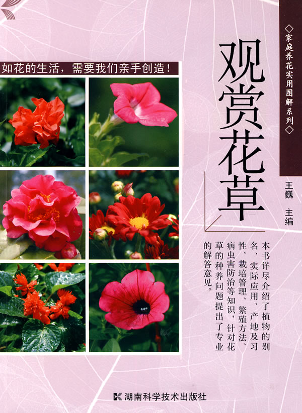 观赏花草