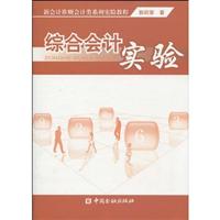 综合会计实验