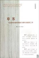草芥-社会的自组织现象与青年自组织工作