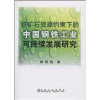 铁矿石资源约束下的中国钢铁工业可持续发展研究