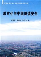城市化与中国城镇安全