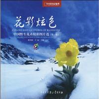 花影炫色-中国野生花卉精彩图片选-第一卷
