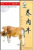 养肉牛