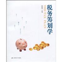 税务筹划学