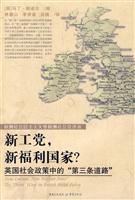 新工党.新福利国家?-英国社会政策中的第三条路