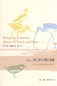 心灵的慰藉-一部非同寻常的地域与家族史