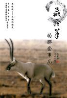 藏羚羊的那些事儿