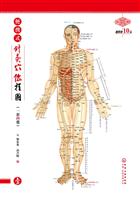 便携式针灸穴位挂图