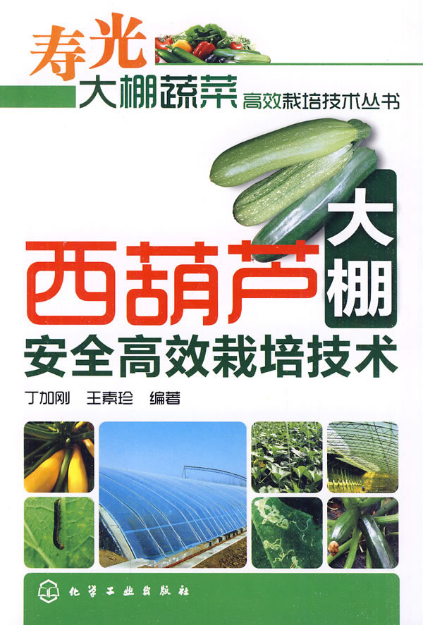 西葫芦大棚安全高效栽培技术