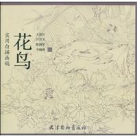 花鸟-实用白描画稿