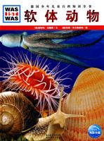 软体动物