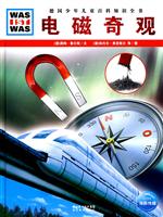 电磁奇观