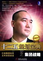 十二五规划宝典之集团战略